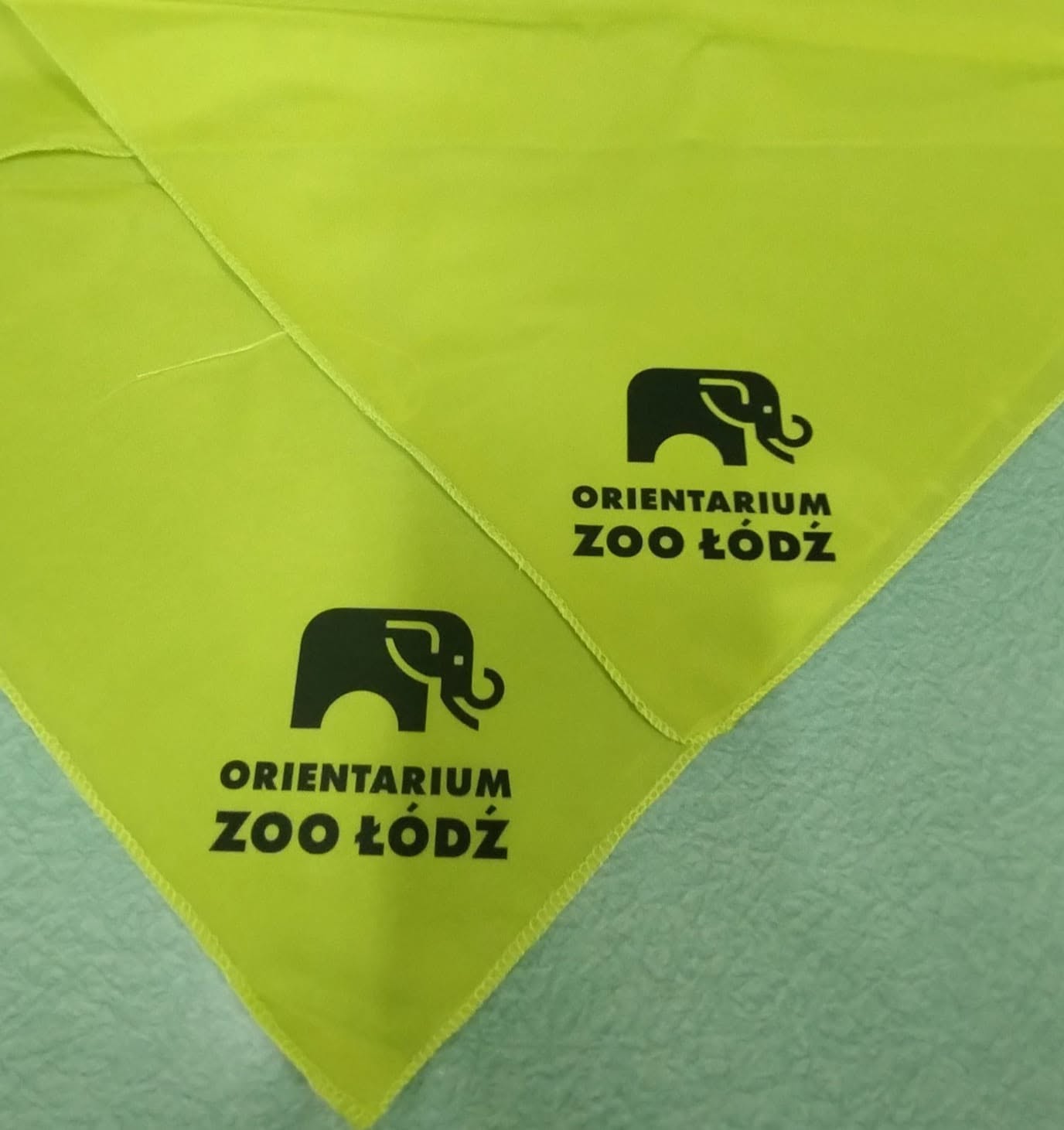 Nadruk DTF